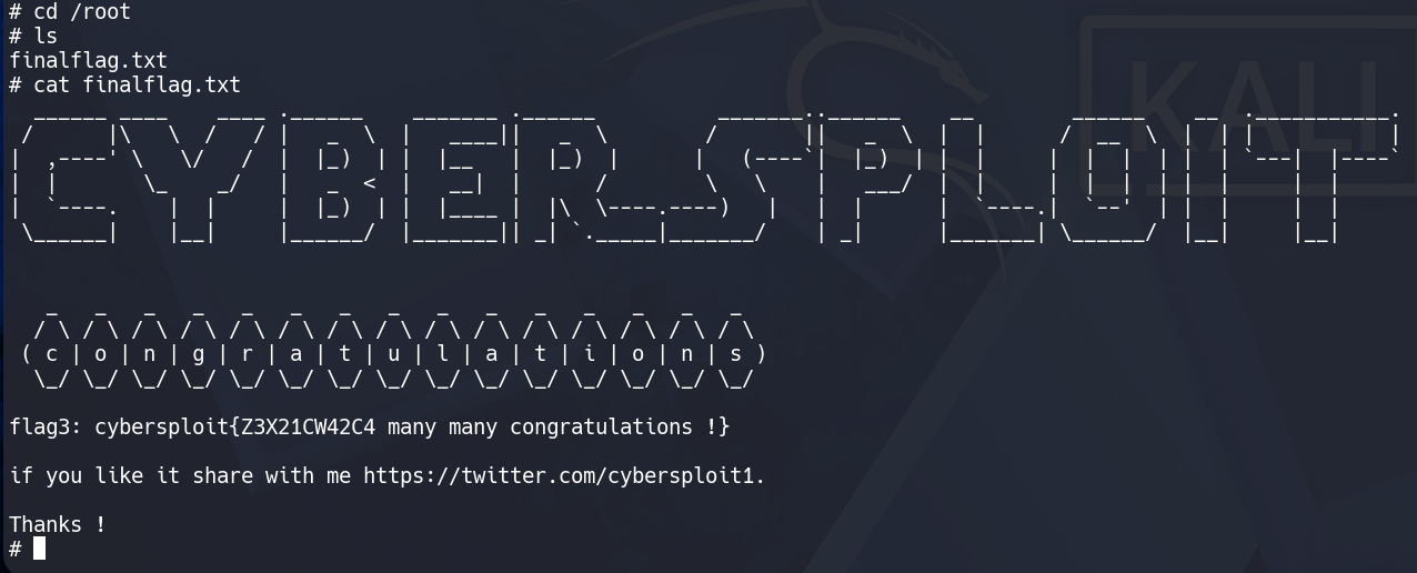 cyber1 flag de root renovada.png